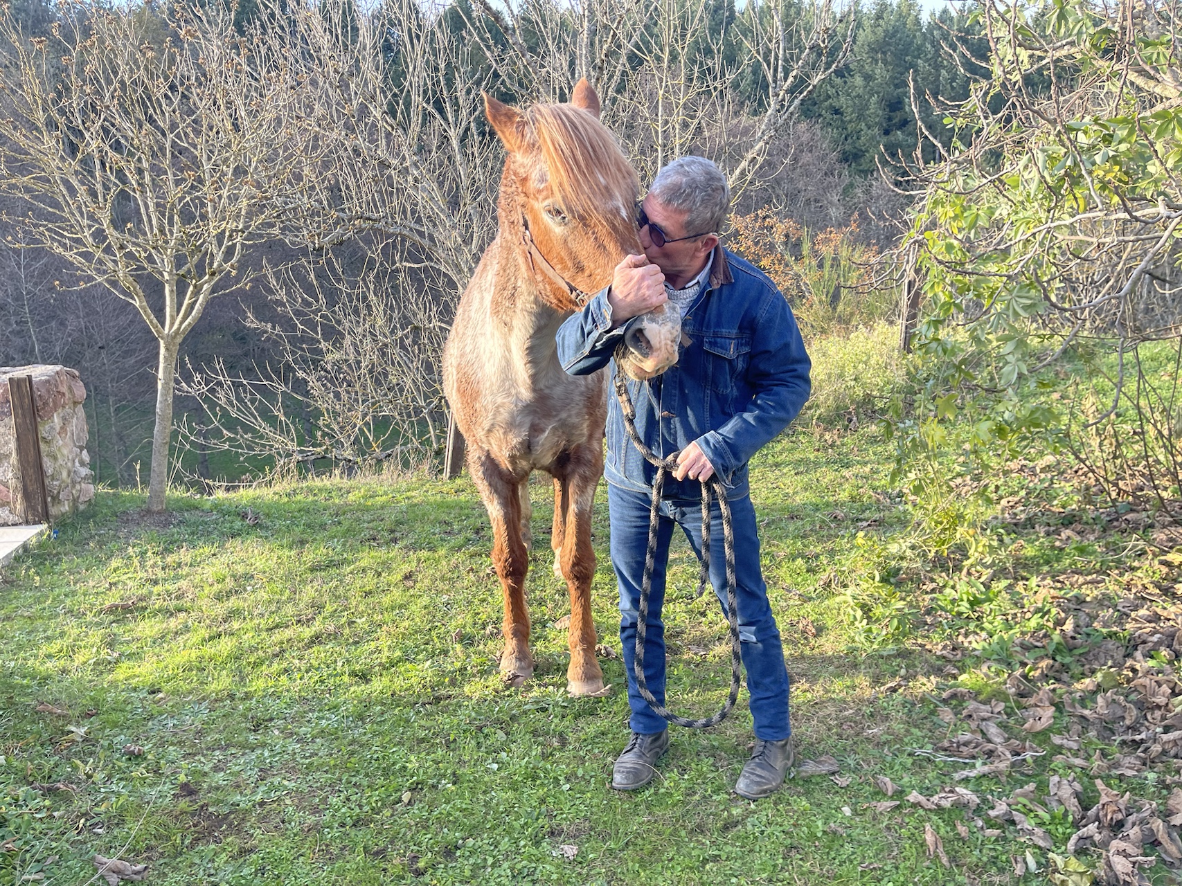 Homme avec cheval Equicoaching